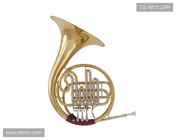 大集汇娱乐：探索多元化娱乐体验的全新平台